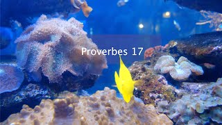 Bible audio pour enfants - Proverbes 17