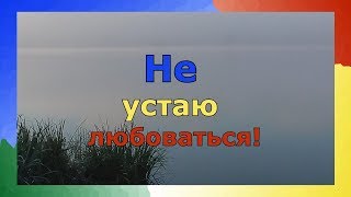 Не устаю любоваться (201907_ 22)