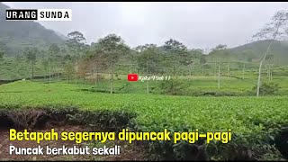 BETAPAH SEGERNYA PAGI - PAGI DIPUNCAK