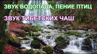 ЗВУК ВОДОПАДА, Звук ТИБЕТСКИХ Чаш, Пение Птиц, Звуки Природы