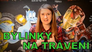 Bylinky na trávení