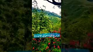 علم القرآن خلق الانسان عَلَّمَهُ البیان الشمس والقمر بحسبان 💞💞🌹🌹#viralvideo #latestvideo #islamic