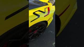 CRAZY LAMBORGHINI AVENTADOR SVJ PULLED UP! #shorts #viral