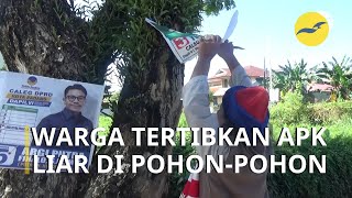 Pegiat lingkungan lakukan aksi cabut paku poster kampanye dari pohon #pemilu2024