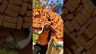 video#shrots ,triệu view, tik tok, trung hoa ,thú vị, (#179),#shorts