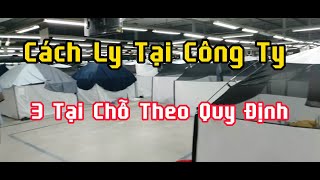 Cách Ly Tại Công Ty - 3 Tại Chỗ Theo Chỉ Thị 16 | Quân Vlogs | #31