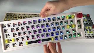 MK66 Pro Mechanical Keyboard Kit Gasket65 Percent Hot-swappable 3-mode bluetooth Customization