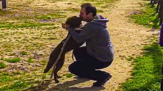 Heart melting reunion between lost dog and his human after 2 years