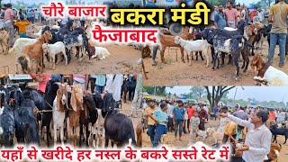 चौरे बाजार बकरा मंडी फैजाबाद 🐐💯 |Chaure Bazar Bakra Mandi |Faizabad Bakra mandi 2024