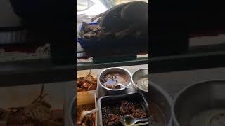 |KULINER SEMARANG| Warung Bu Anna, Mangut Manyung +Buah Durian Mak Nyuss...#shorts #youtubeshorts