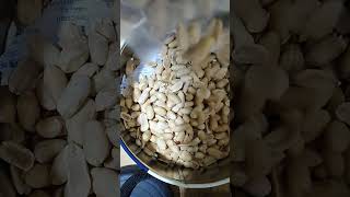 DROPPING OF ROASTED PEANUTS #shorts #asmr #satisfying