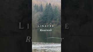 A Day at Linacre Reservoirs: Nature, Trails  #travel #nature