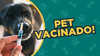 O que você precisa saber sobre VACINAÇÃO de pets em áreas rurais!