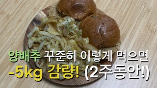 양배추는 이렇게 드세요! 많이 먹어도 살빠지는 초간단 다이어트 요리