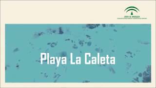 Playa La Caleta. Málaga (Málaga)