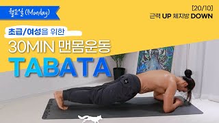 [20/10 월요일-전신] 초급,여성을 위한 일주일 타바타 운동 루틴!