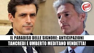 Il Paradiso delle Signore: Tancredi e Umberto meditano vendetta!