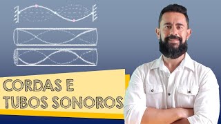 A Física da Música - Cordas Vibrantes e Tubos Sonoros