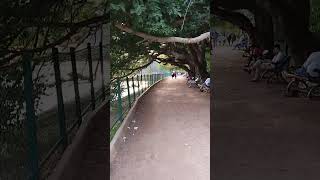 #lalbagh#bangalorepark#bangaloretouristspot#karmataka#youtubeshorts#