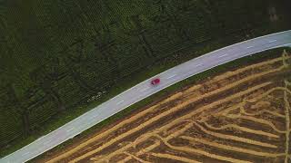 Top view from a drone at a driving red car along a street from right to left with agriculture