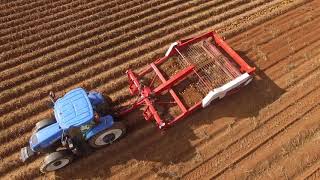 Allan Equipment Potato Windrower