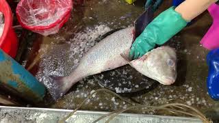 Big Fish Cutting Skill Video Inside the Asian Fish Market | FLV Official