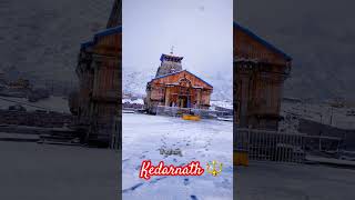 #kedarnath #shortvideo #viral #mahakal #mahadevstatus #mahakaleshwarujjain #shiv