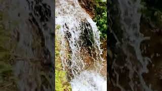 ROHINI  WATER FALLS AT DARJEELING