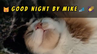 😺Good night by Mike💤🌠#mainecoon #catlover #goodnight #cat #kitten #shorts