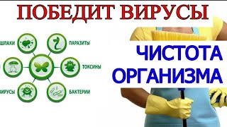 Победит ВИРУСЫ внутренняя ЧИСТОТА организма, чистота КЛЕТКИ / Бутакова О.А. и Фролов Ю.А.