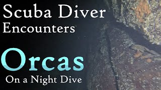 Scuba Diver Encounters Orca Whales on a Night Dive | Vancouver Island, BC