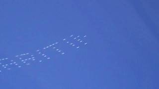 Toronto Sky Message