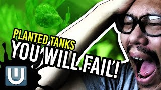 Planted Tanks - You will Fail, Get Over It! | Aquachat 010