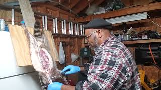 Skinning the Coon. how to start they have alot of fat on them.