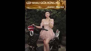 [Ca Nhạc] Gặp Nhau Giữa Rừng Mơ #Mochiii #DkApollo