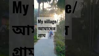 my village# আমাদের গ্রাম # mera gaon# how to visit village# Indian village # paddy field#