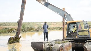 Diawel : la SAED libère les axes hydroagricoles bloqués par les plantes sauvages envahissantes