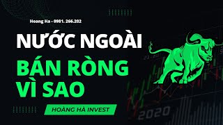 NƯỚC NGOÀI BÁN RÒNG MẠNH, VÌ SAO? CẦN LÀM GÌ?