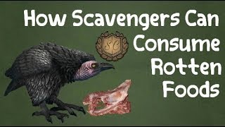 How Scavengers Can Consume Rotten Foods? Saiful Chemistry