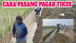 TUTORIAL CARA PASANG PAGAR PLASTIK | PENGENDALIAN HAMA TIKUS SAWAH