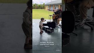 William is mesmerized by the performer🎸 #musiclover #toddlerlife #goodvibes #globalwildlifecenter