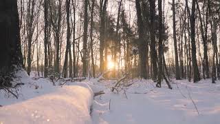 3 Hours of Winter Scenes | Beautiful Winter Videos - Soft Music (piano, drone with relaxing sound)