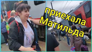 Лазаревское🐬 Встречаем Матильду