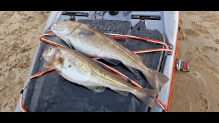 Kayak Fishing UK, Beadnell Bay, Northumberland on the Galaxy Supernova FX, Lure fishing and bait.