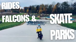 Rides, Falcons and Skateparks