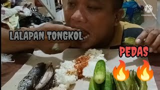 SARAPAN PAGI LALAPAN TONGKOL.mukbang