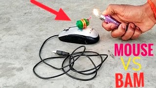 Mouse vs bam amazing experiment || bam vs mouse experiment video 🥱🥱