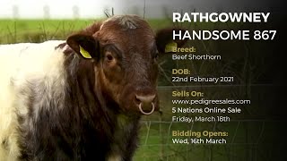 RATHGOWNEY HANDSOME 867 (LRO) - Beef Shorthorn - Pedigree Sales Online Auction