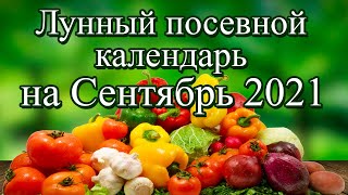 Лунный посевной календарь на Сентябрь 2021 года