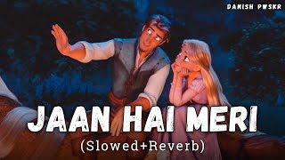 Jaan Hai Meri [Slowed + Reverb] - Armaan Malik | Radhe Shyam Movie Song | Danish Pwskr